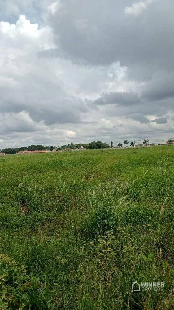 Terreno à venda, 2000M2 - Foto 4