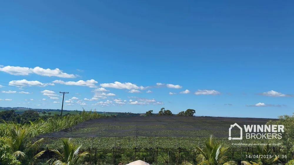 Chácara, 2 hectares - Foto 6