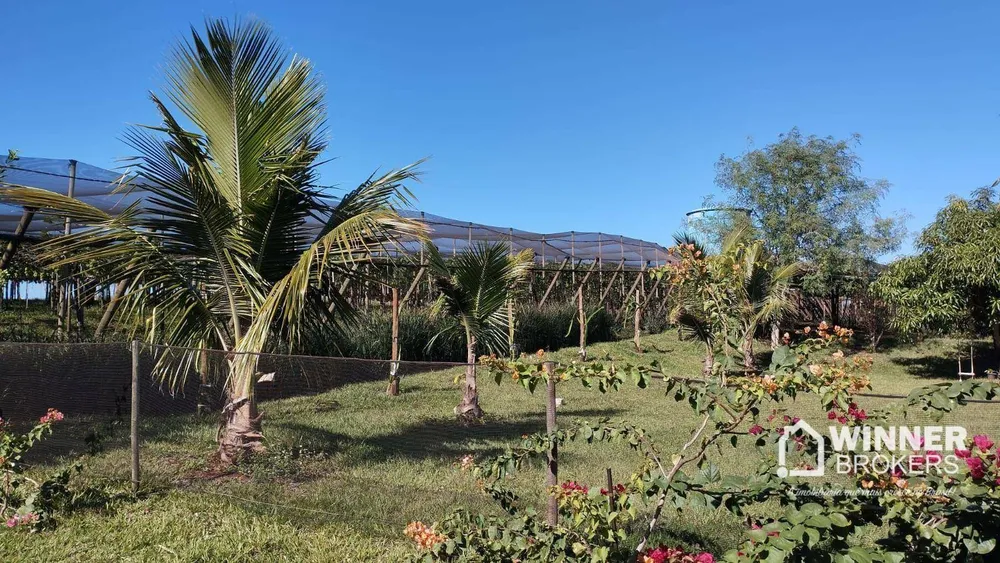 Chácara, 2 hectares - Foto 8