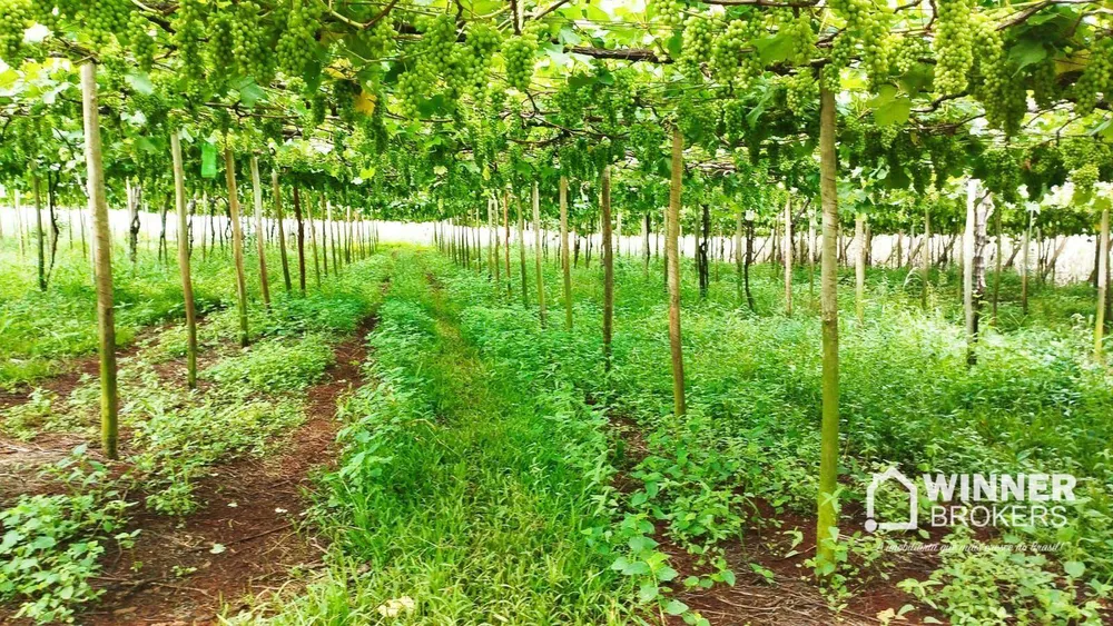 Chácara, 2 hectares - Foto 11