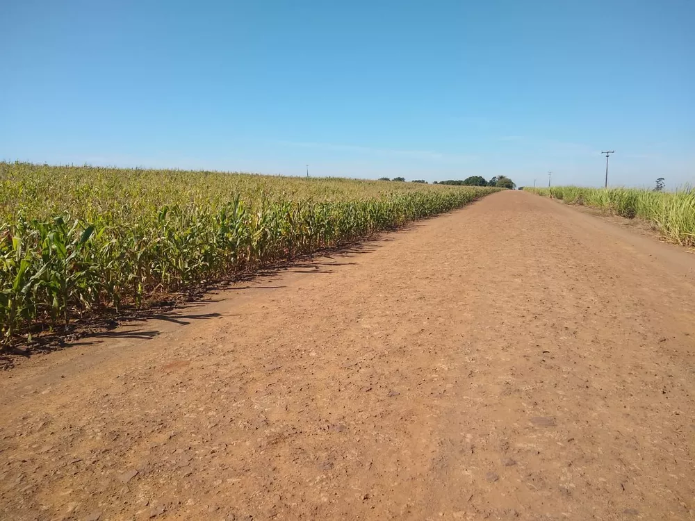 Terreno à venda, 181500M2 - Foto 2