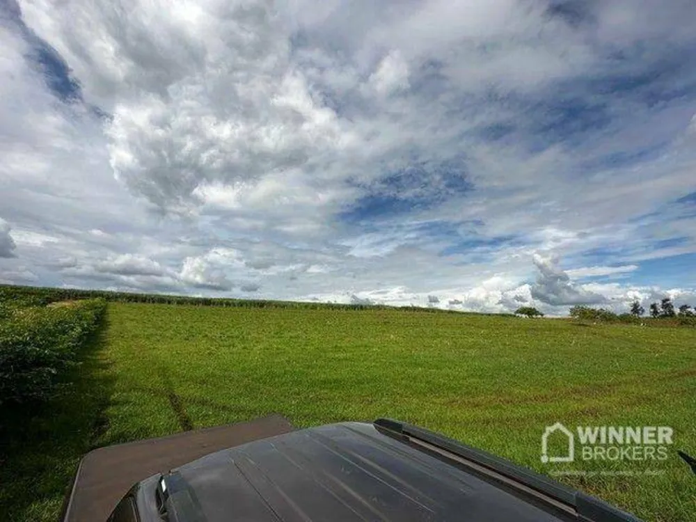 Chácara, 2 hectares - Foto 11