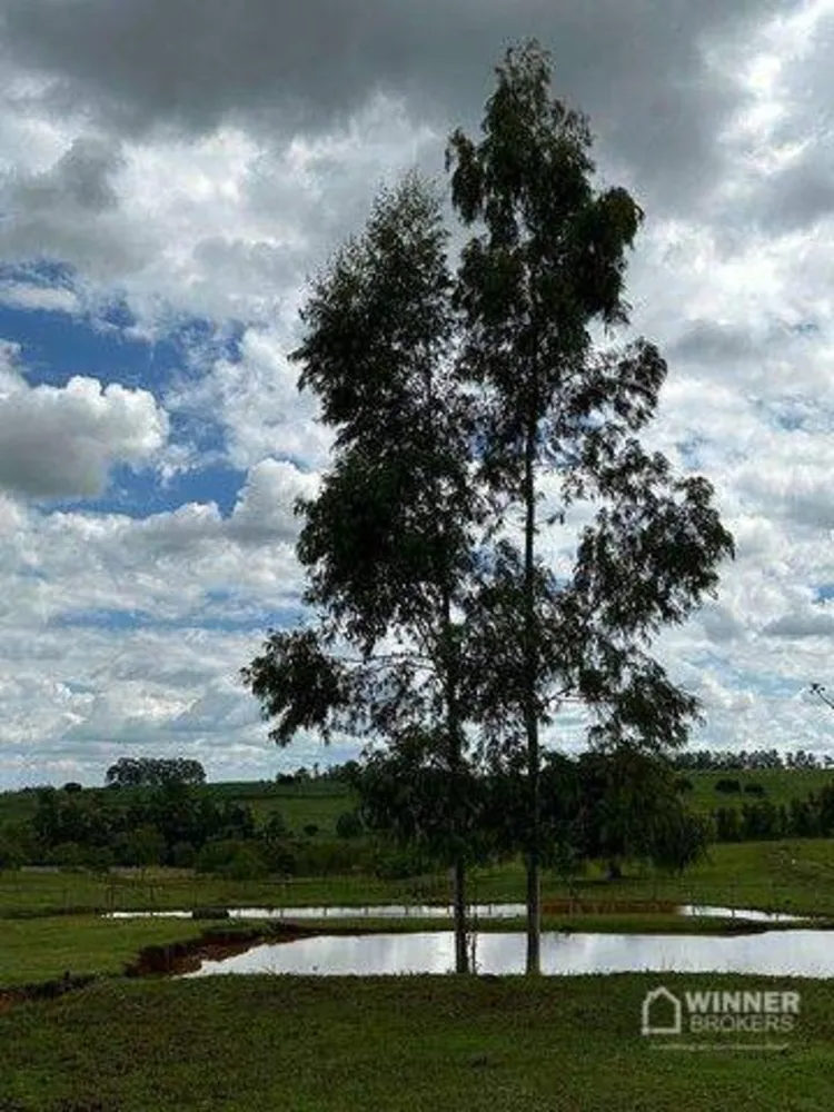 Chácara, 2 hectares - Foto 8