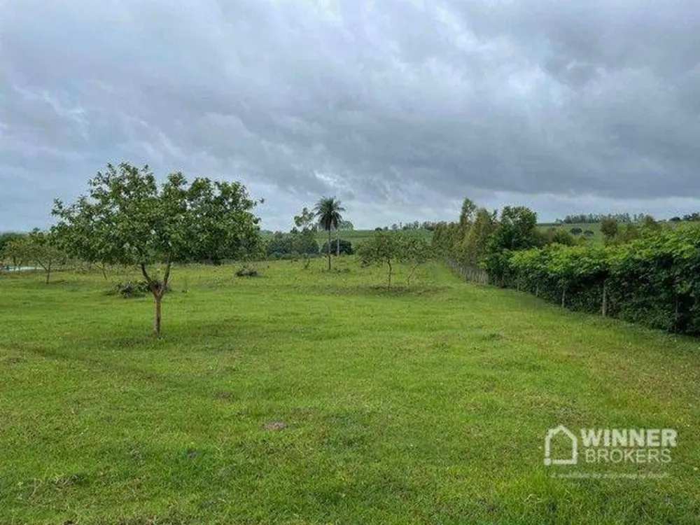 Chácara, 2 hectares - Foto 6