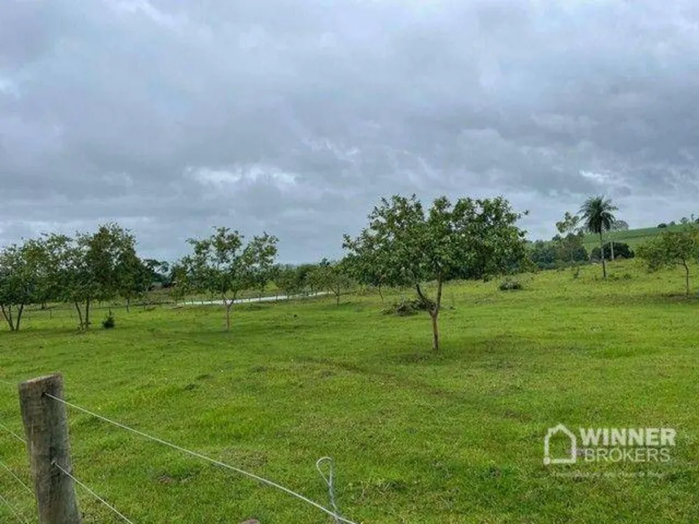Chácara, 2 hectares - Foto 4