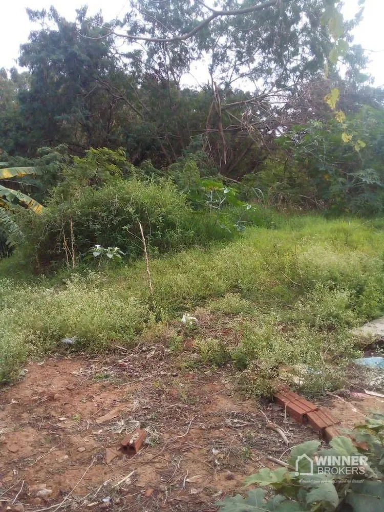 Chácara, 2 quartos, 1602 m² - Foto 10