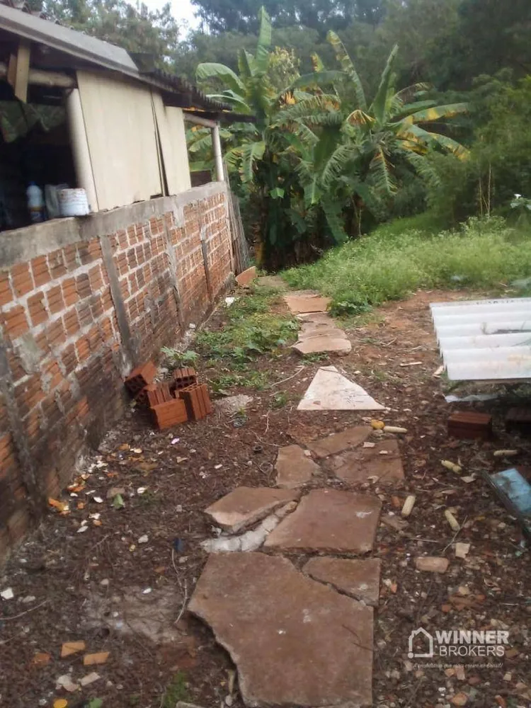 Chácara, 2 quartos, 1602 m² - Foto 5