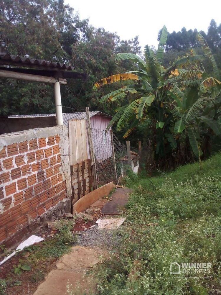 Chácara à venda com 2 quartos, 120m² - Foto 6