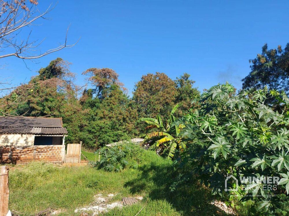 Chácara à venda com 2 quartos, 120m² - Foto 5