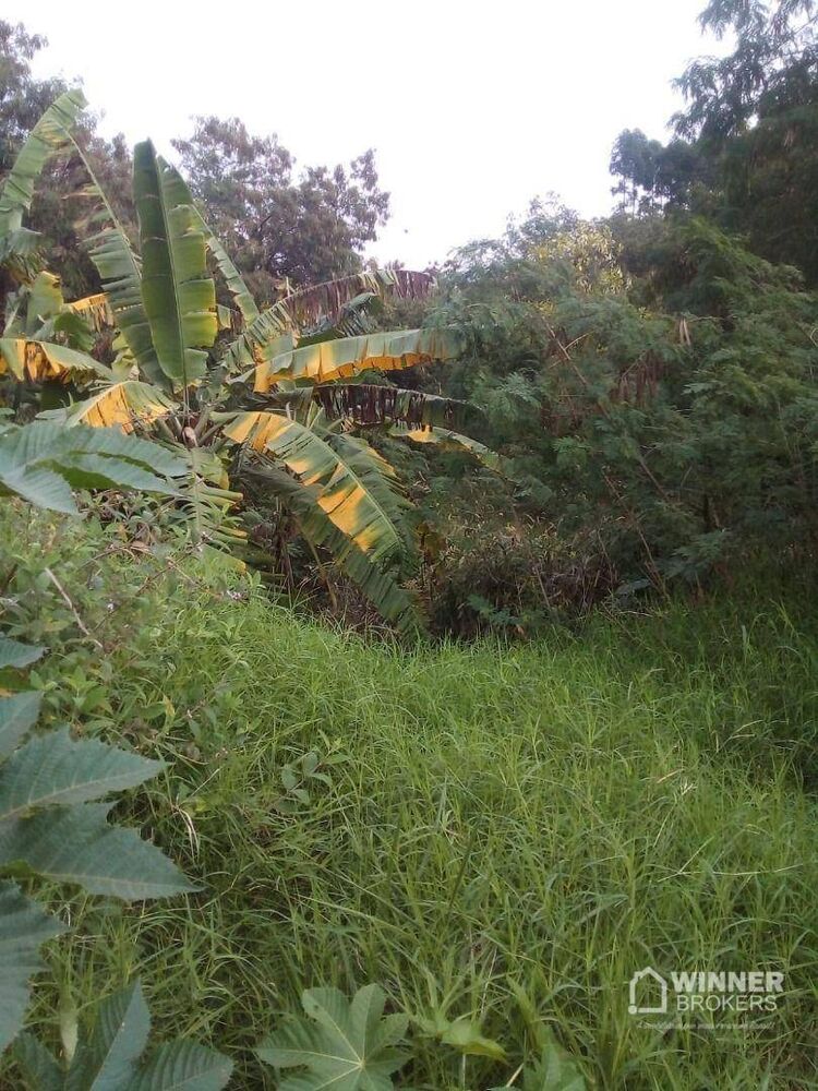 Chácara à venda com 2 quartos, 120m² - Foto 4