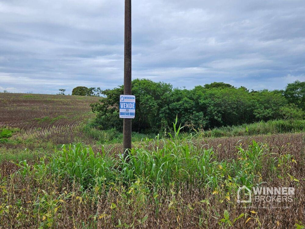 Sítio, 1 quarto, 19 hectares - Foto 1