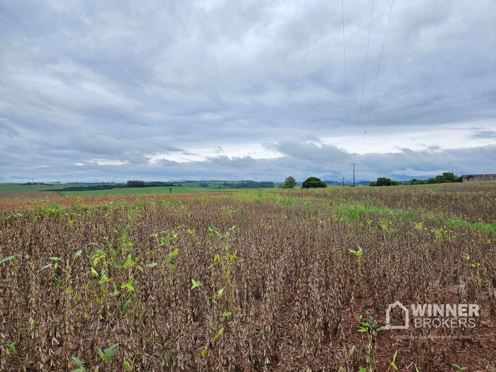 Sítio, 1 quarto, 19 hectares - Foto 2