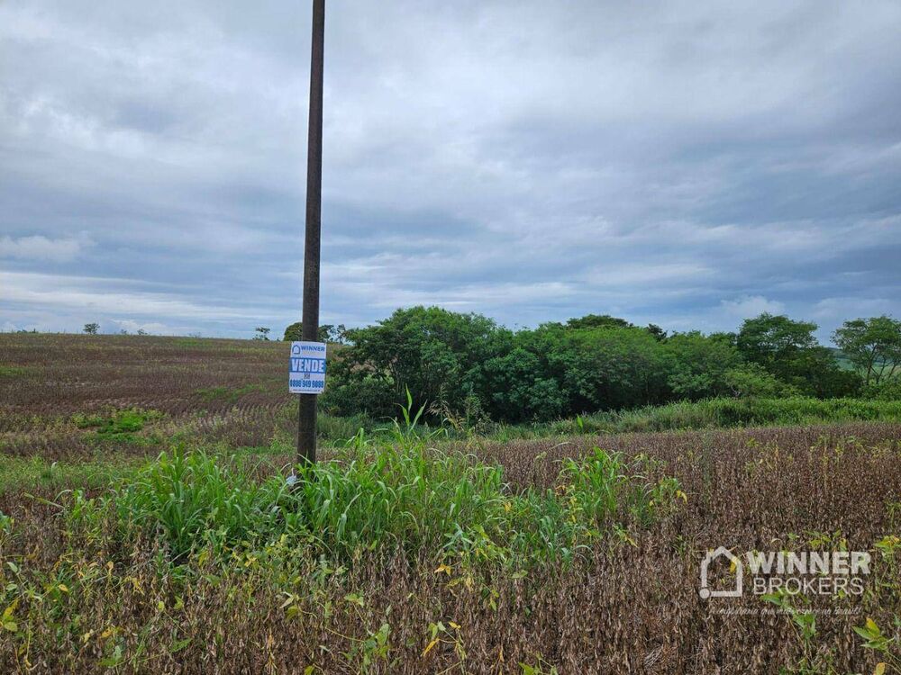 Sítio, 1 quarto, 19 hectares - Foto 3