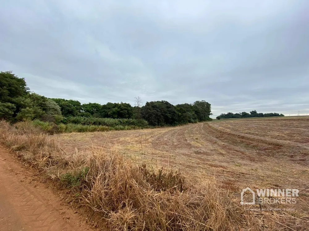 Terreno, 7 hectares - Foto 6