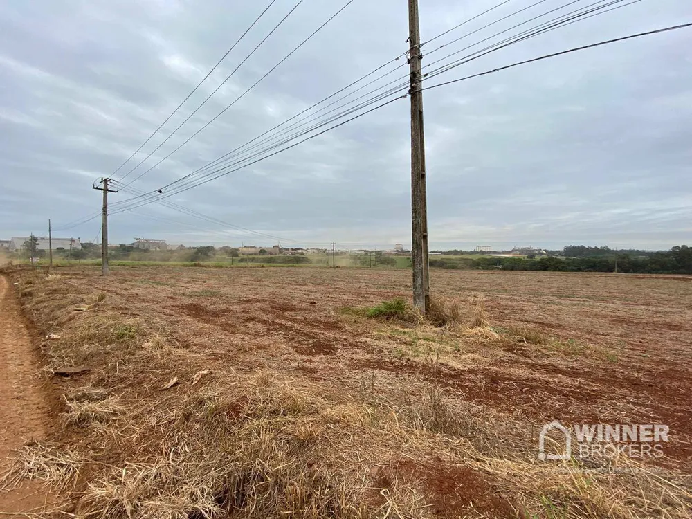 Terreno, 7 hectares - Foto 12