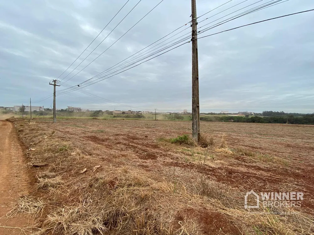 Terreno, 7 hectares - Foto 10