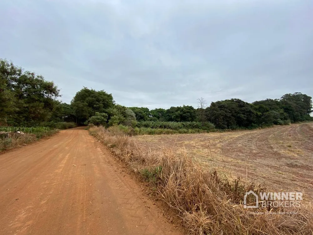 Terreno, 7 hectares - Foto 4