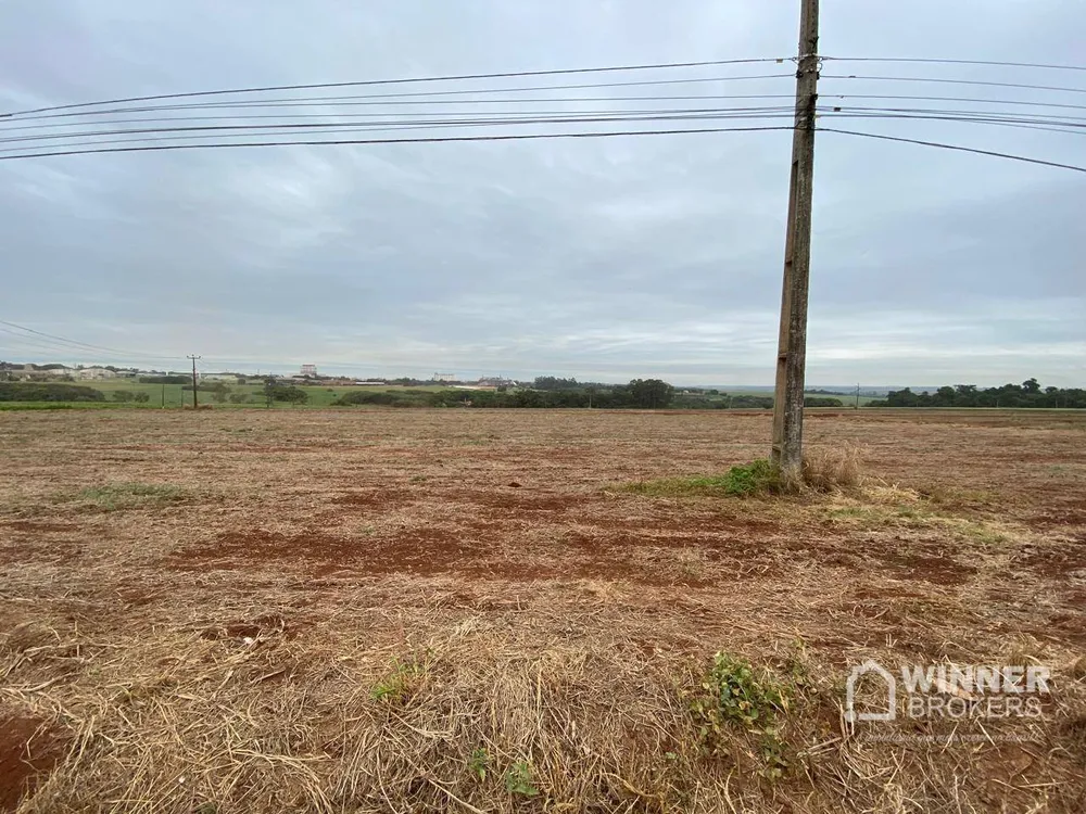 Terreno, 7 hectares - Foto 7