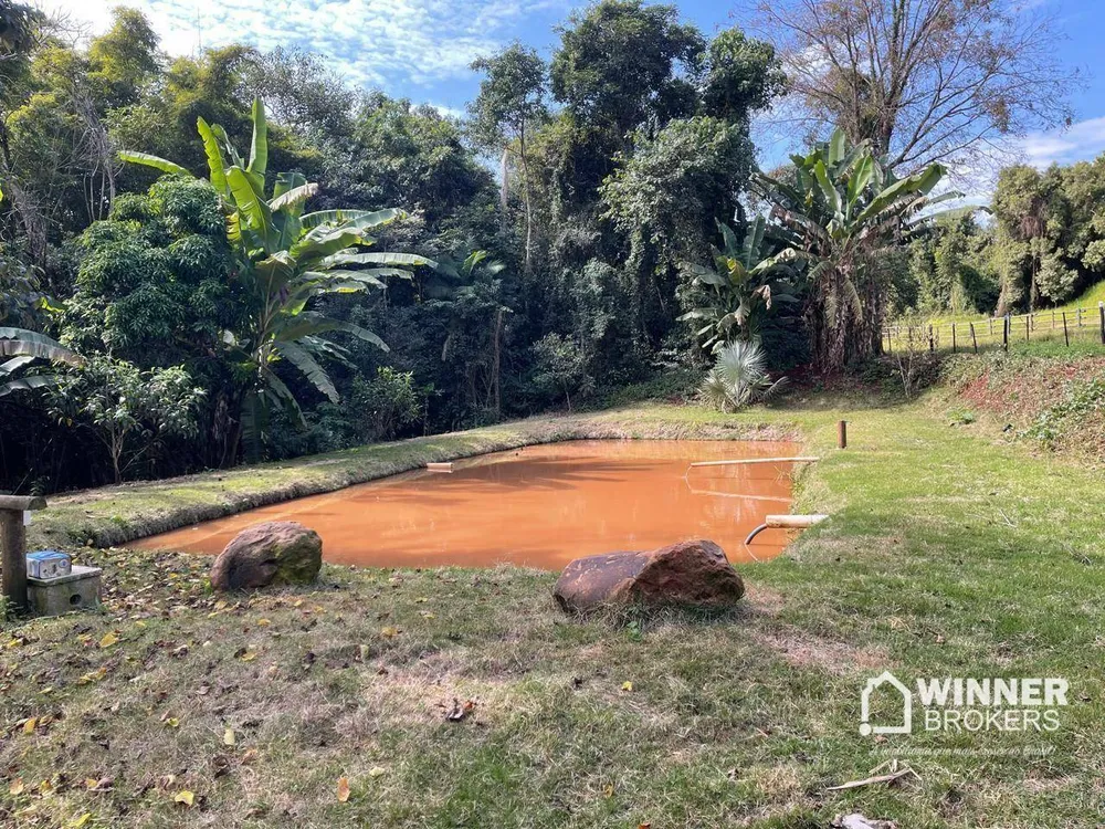 Fazenda, 5 hectares - Foto 6