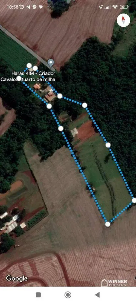 Fazenda, 5 hectares - Foto 4
