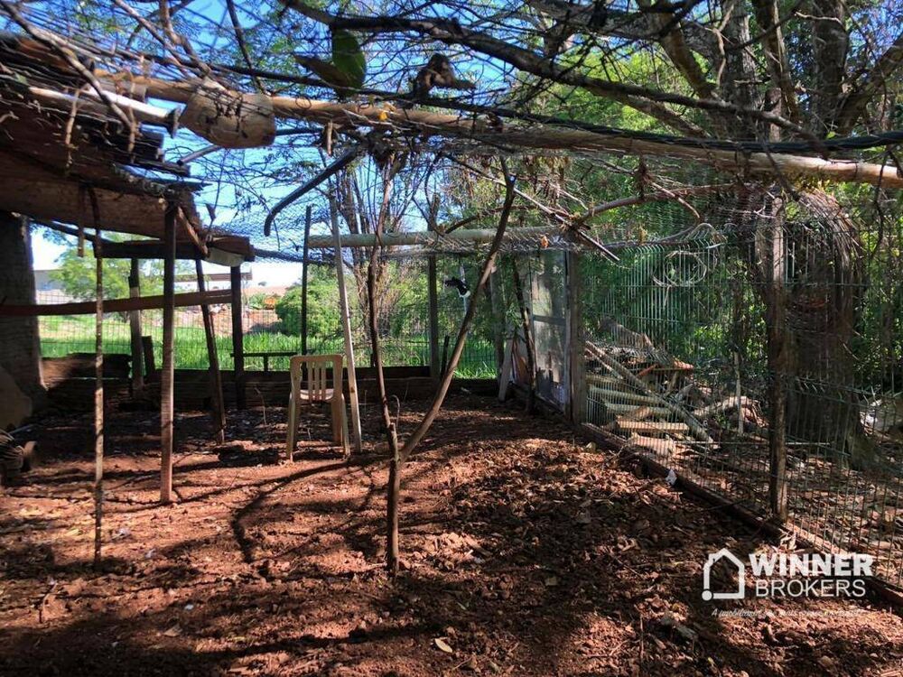 Chácara, 1 quarto, 4000 m² - Foto 4