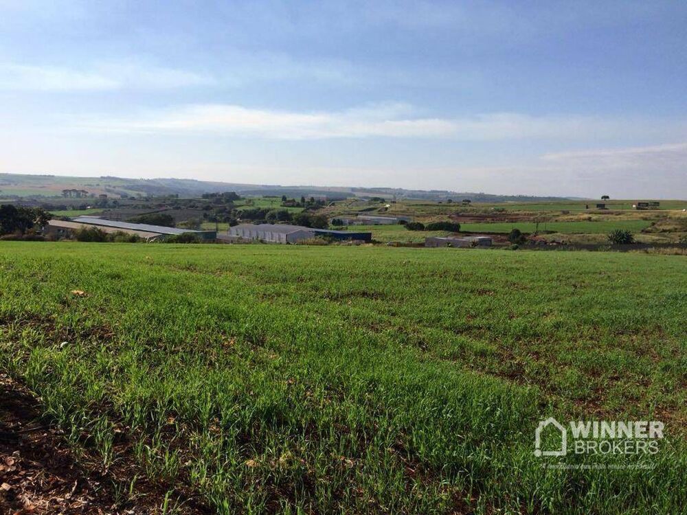 Terreno, 2 hectares - Foto 7