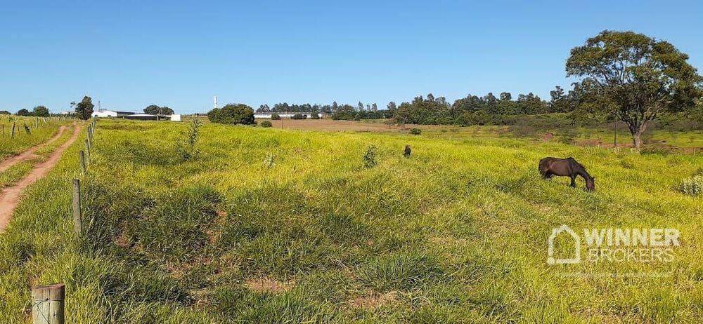 Chácara à venda com 6 quartos, 375m² - Foto 4