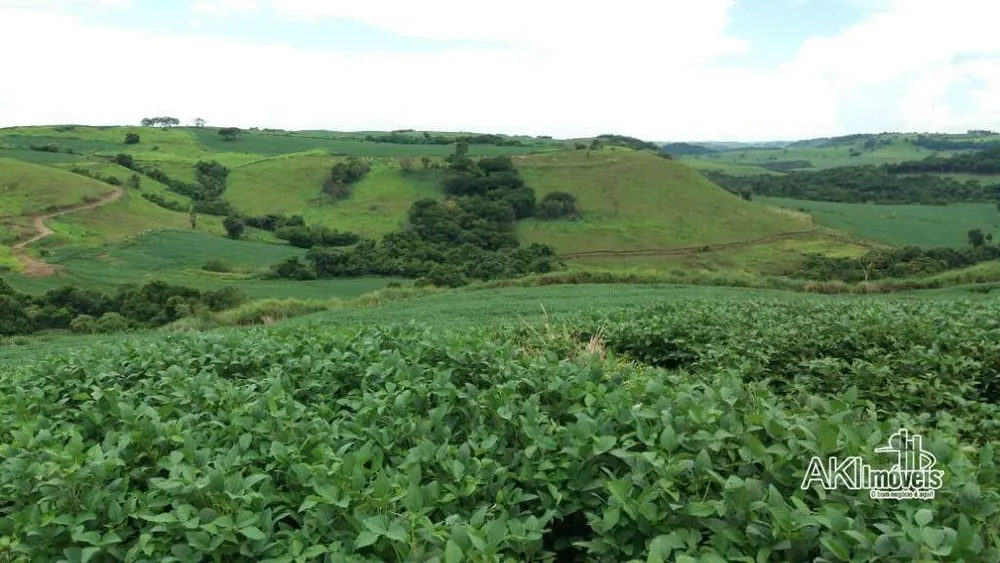 Fazenda, 282 hectares - Foto 5