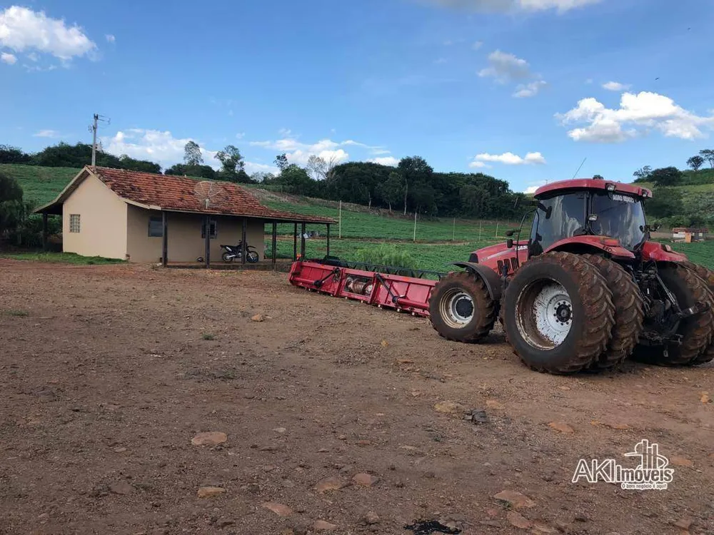 Fazenda, 282 hectares - Foto 7