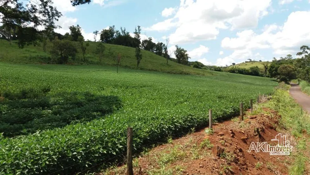 Fazenda, 282 hectares - Foto 8