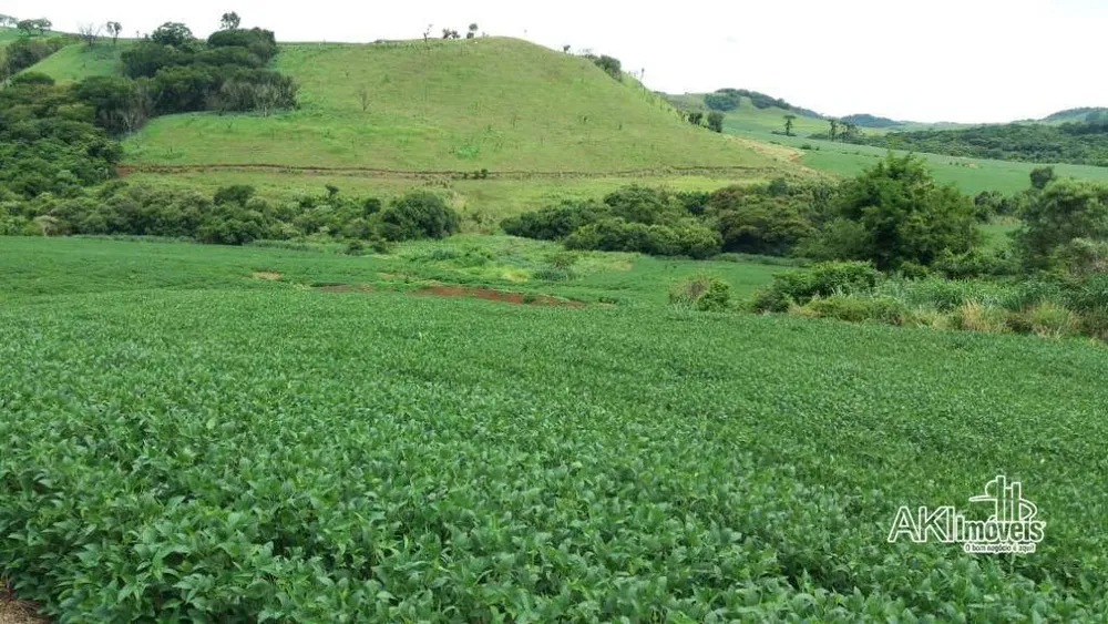 Fazenda, 282 hectares - Foto 1
