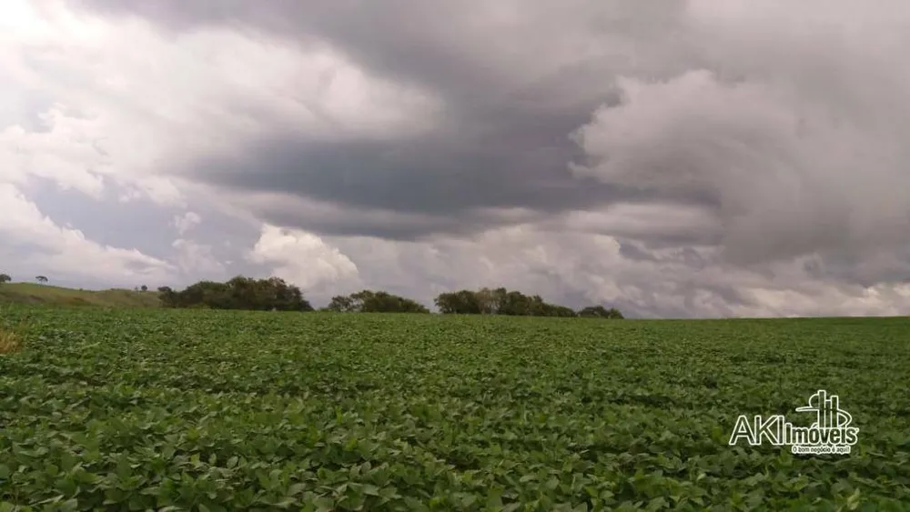 Fazenda, 282 hectares - Foto 6