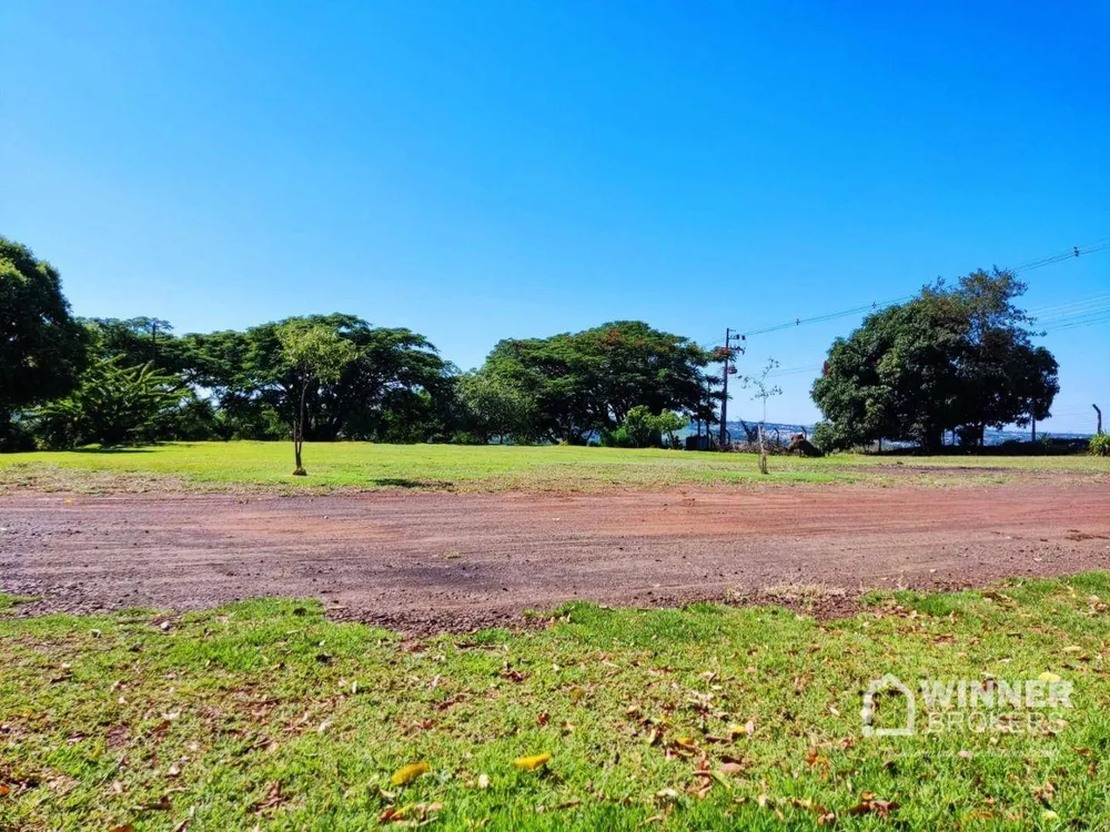 Chácara, 5000 m² - Foto 5