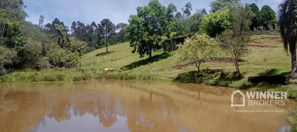 Chácara à venda com 4 quartos, 240m² - Foto 1