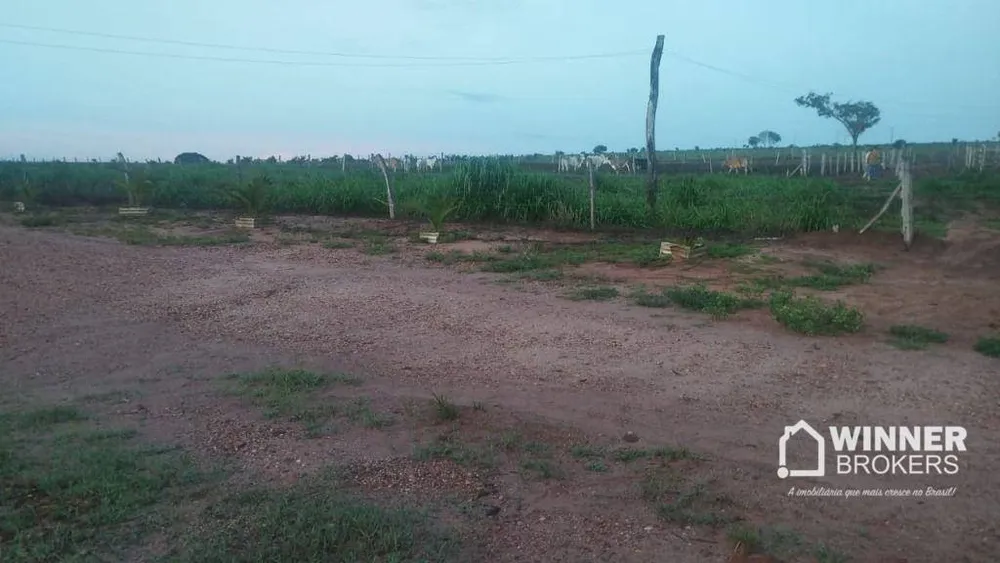 Fazenda, 930 hectares - Foto 5