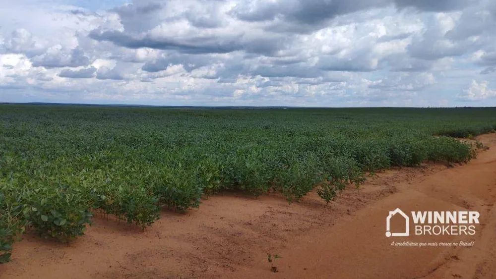 Fazenda, 930 hectares - Foto 2