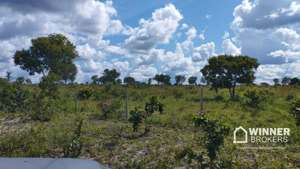 Fazenda, 930 hectares - Foto 3