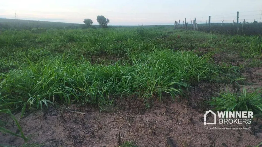 Fazenda, 930 hectares - Foto 7