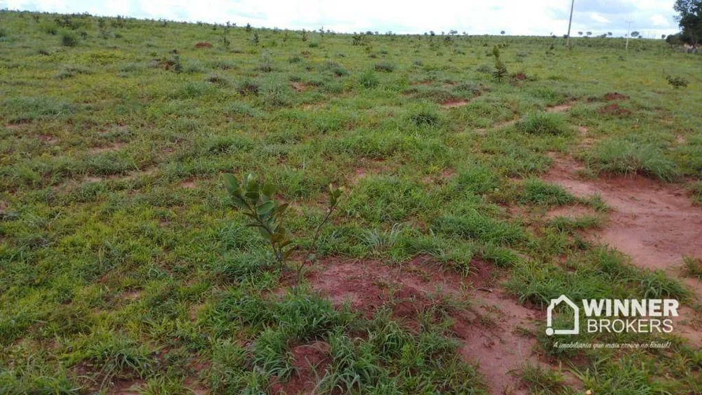 Fazenda, 930 hectares - Foto 1