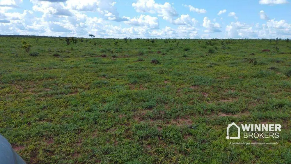 Fazenda, 930 hectares - Foto 4
