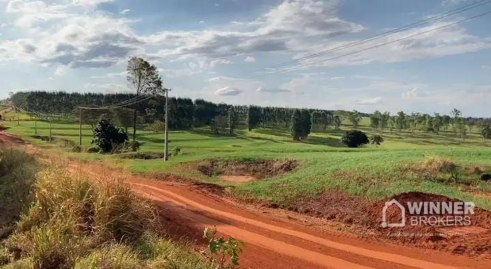 Sítio à venda com 1 quarto, 193600M2 - Foto 7