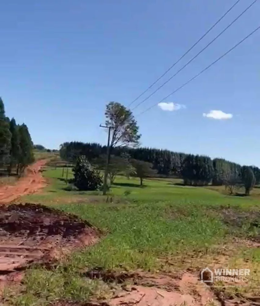 Sítio à venda com 1 quarto, 193600M2 - Foto 5