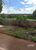 Terreno, 1 hectares - Foto 1