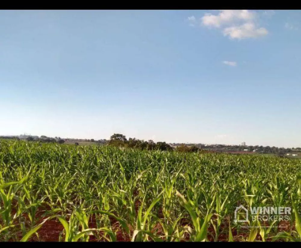 Fazenda à venda, 66550M2 - Foto 3