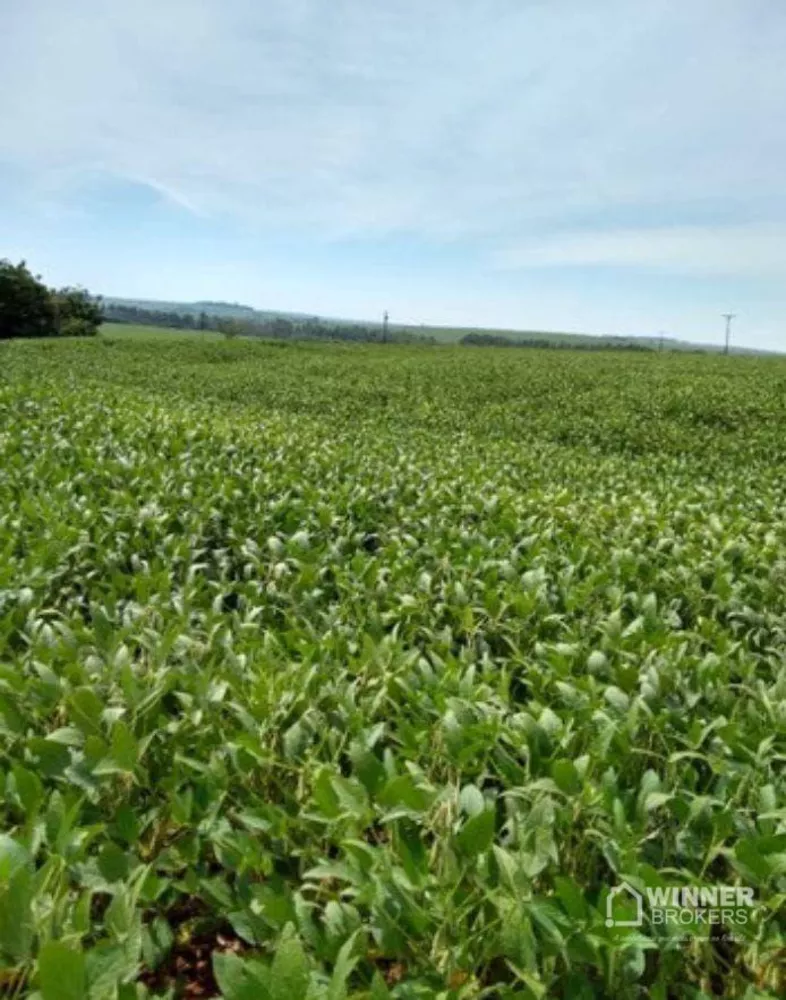 Fazenda à venda, 66550M2 - Foto 2