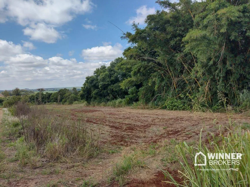 Sítio, 18 hectares - Foto 1