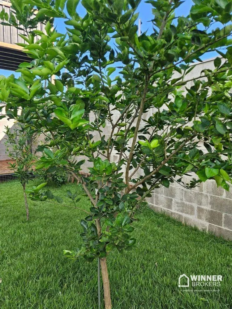 Terreno, 311 m² - Foto 7