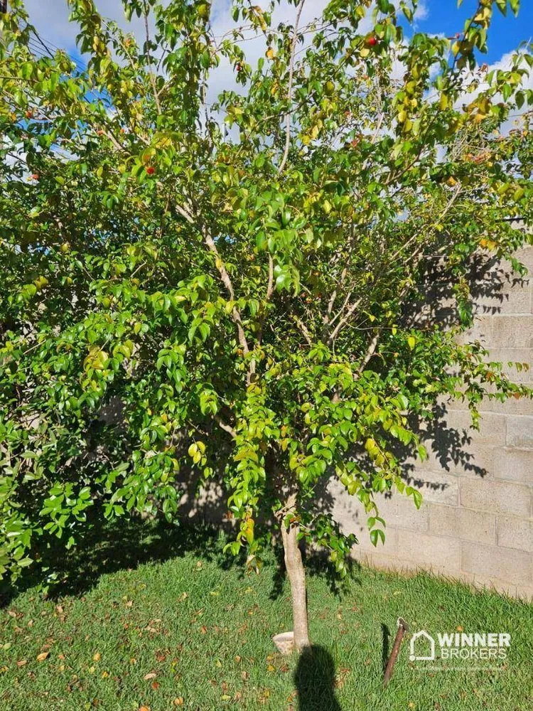 Terreno, 311 m² - Foto 5