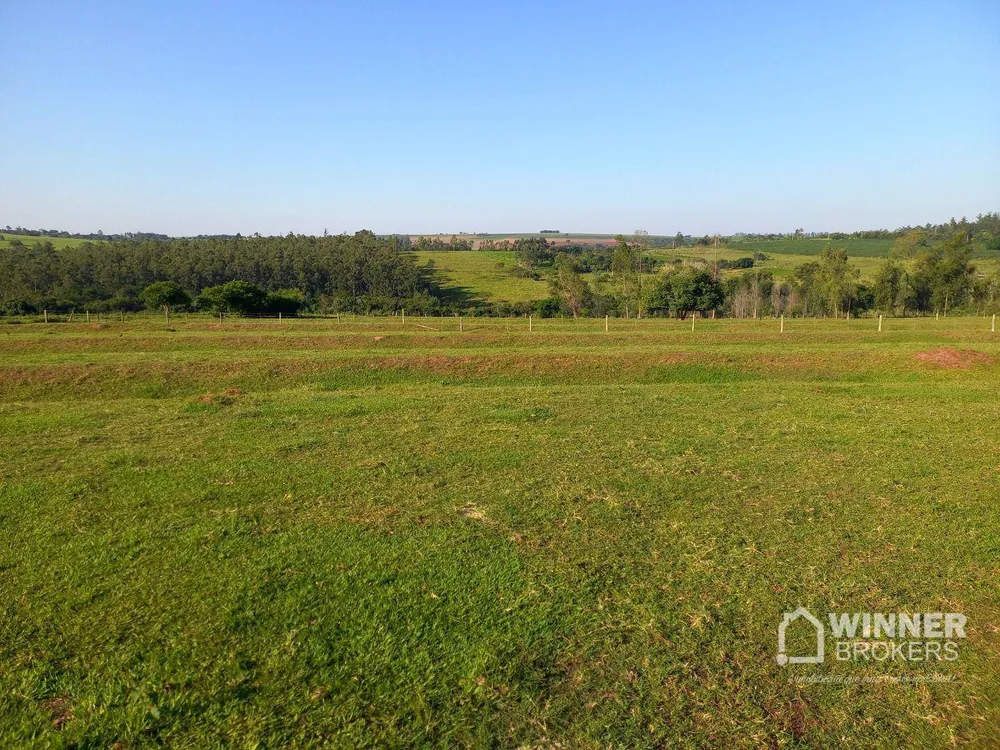 Sítio, 8 hectares - Foto 8