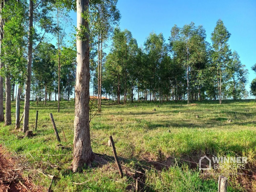 Sítio, 8 hectares - Foto 6